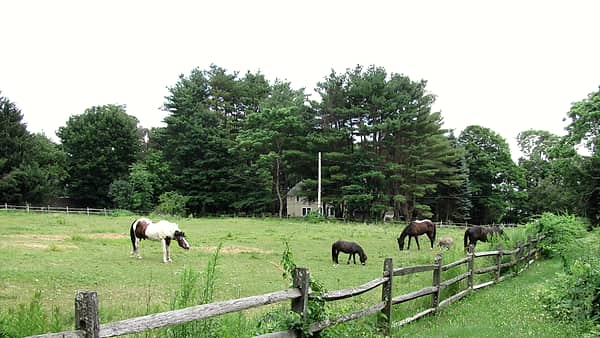 Pasture on Old Billerica Road, Bedford Springs Massachusetts