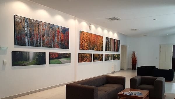 The interior of the Supreme Administrative Court building in Brno, looking along its public corridor