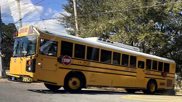 a newer Blue Bird rear engine school bus pictured in Tallahassee, FL