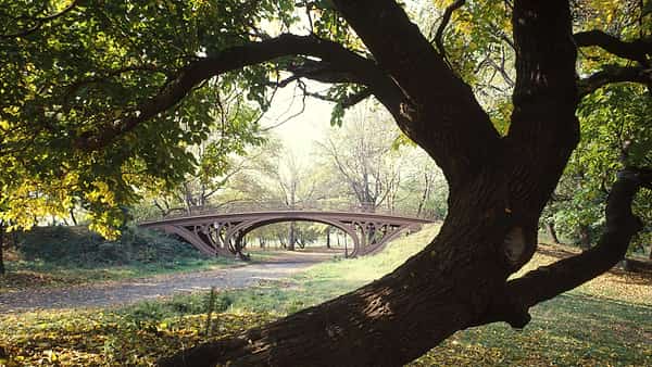 Central Park Bridges (view from Bridlepath looking southwest), Gothic Arch, Spanning bridlepath south of tennis courts, north