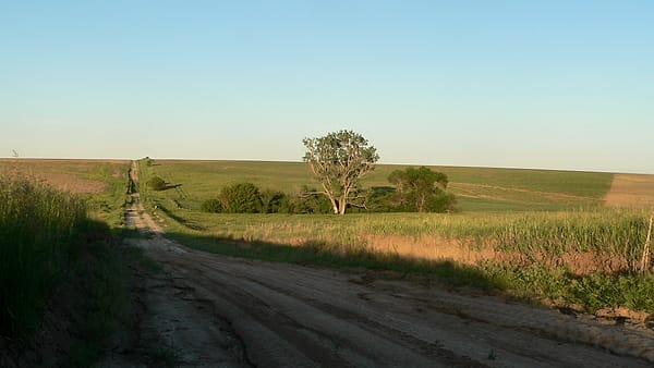 William Cather homestead site, located on south side of county road R between county roads 400 and 500 in rural Webster County