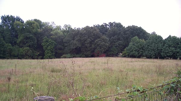Abandoned farm, now surrounded by the town of West Columbia in South Carolina, USA
