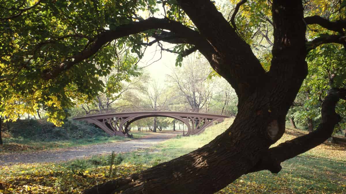 Central Park Bridges (view from Bridlepath looking southwest), Gothic Arch, Spanning bridlepath south of tennis courts, north